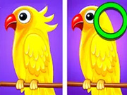 Nelle ritenere 6 Variazioni