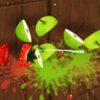 fruit ninja